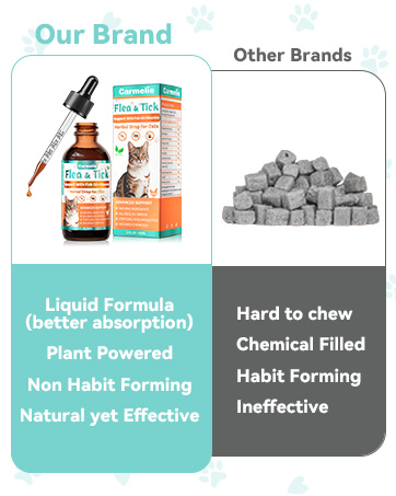 Flea Support for cats