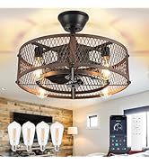 DLLT Caged Ceiling Fan with Lights: 20
