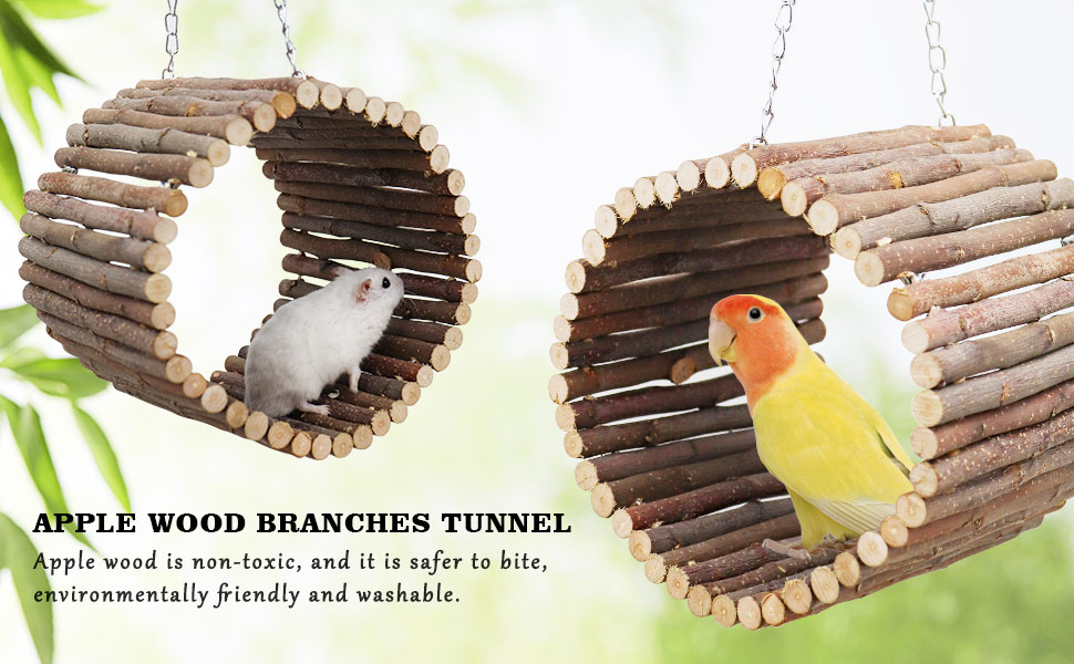 Bird Parrot Swing Toys