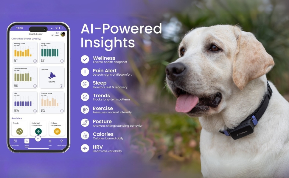 AI Health Monitor &; GPS Tracker for Dogs | Track Heart Rate, Pain, Anxiety & Stress |