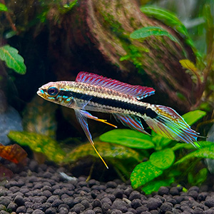 Small manufacture image 2