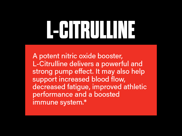 The Curse, JNX Sports, Pre-Workout, Creatine, Beta Alanine, L-Citrulline, L-Arginine, Supplement
