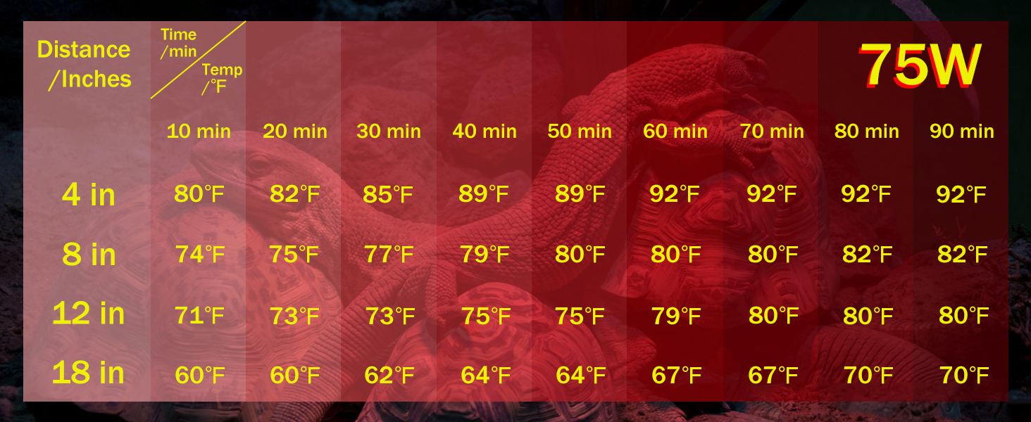 Reptile Infrared Heat Lamp