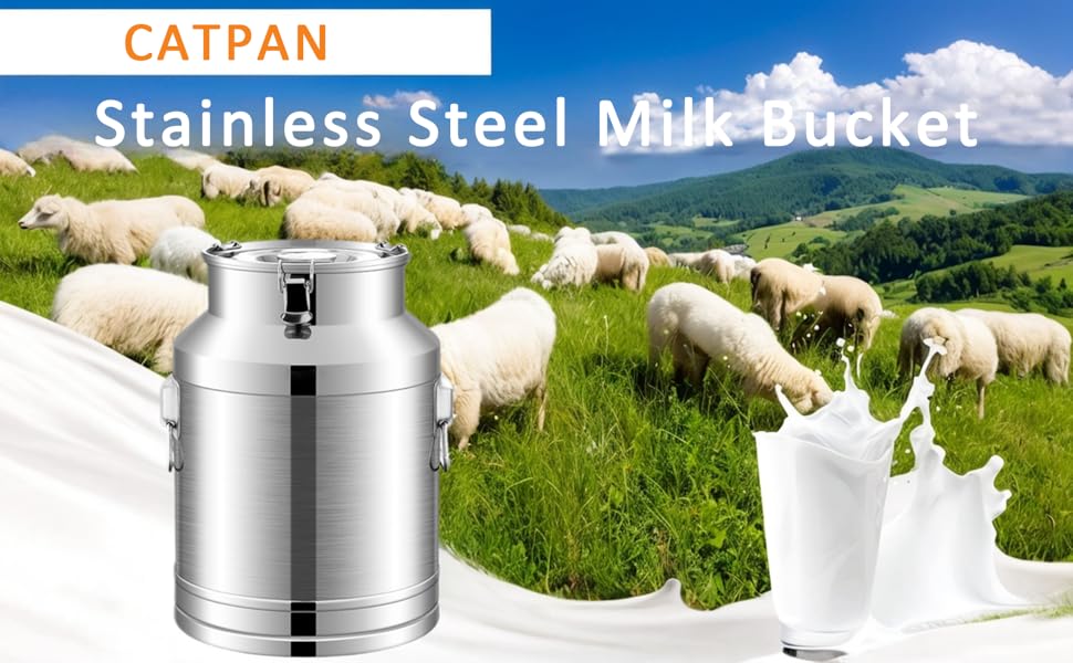 Amazon.com: Stainless Steel Milk Bucket with Lid: Spill