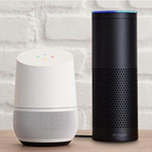 Alexa Google Voice Control5