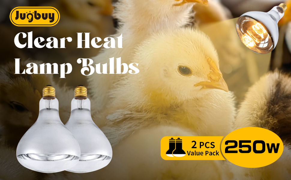 Jugbuy 250 Watt Heat Lamp Bulbs, Clear Incandescent Heating Outdoor