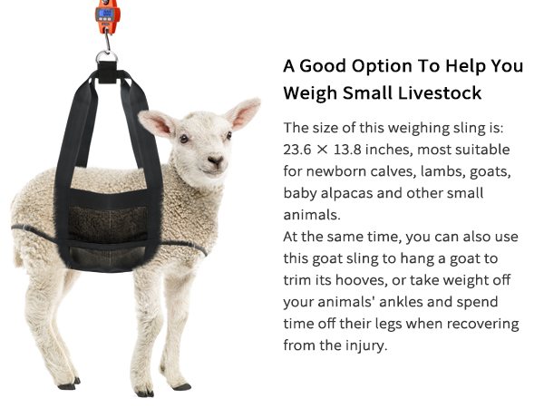 Amazon.com: GINDOOR Calf Sling for Weighing Animals - Calf