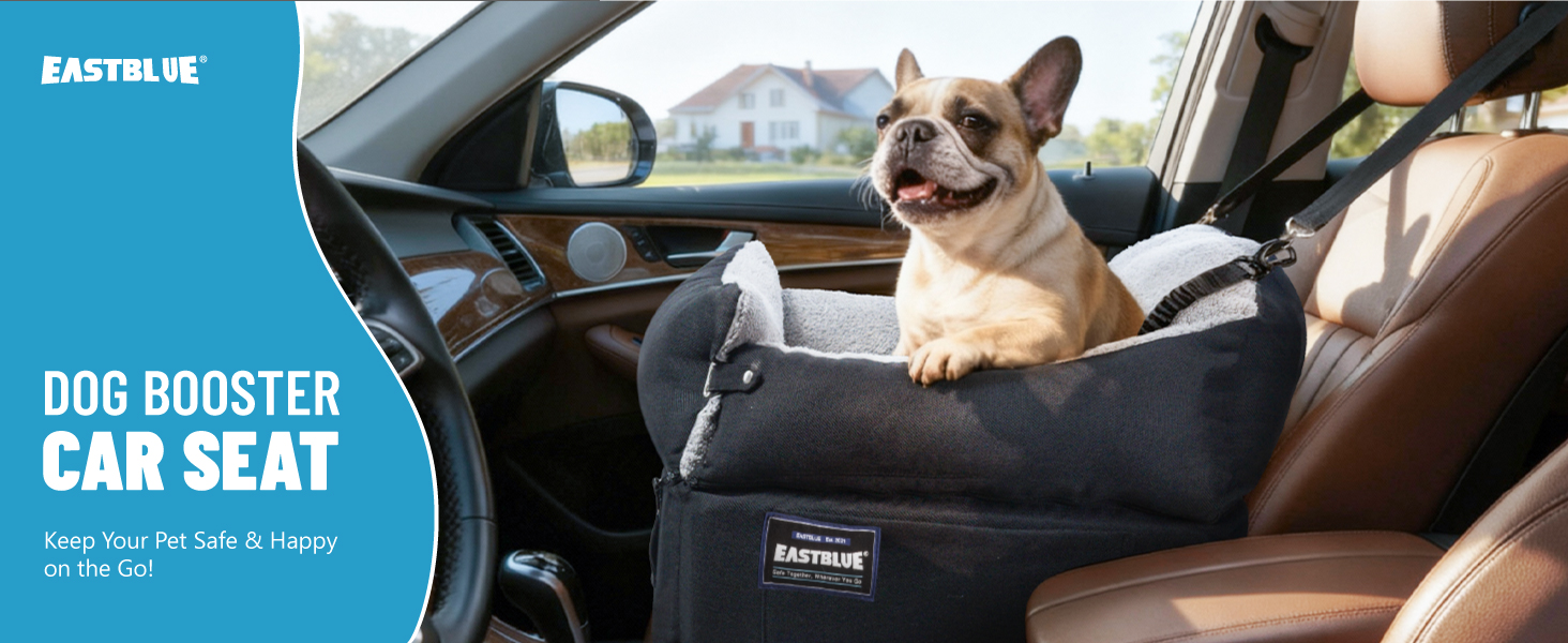 dog booster car seat