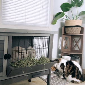 Small manufacture image 4