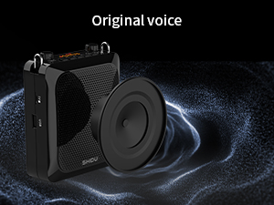 Wireless Voice Amplifier