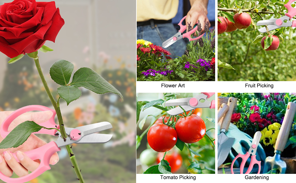 Pruning Scissors