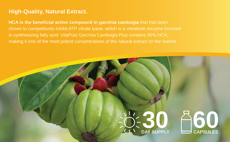 garcinia cambogia pure, garcinia cambogia extract