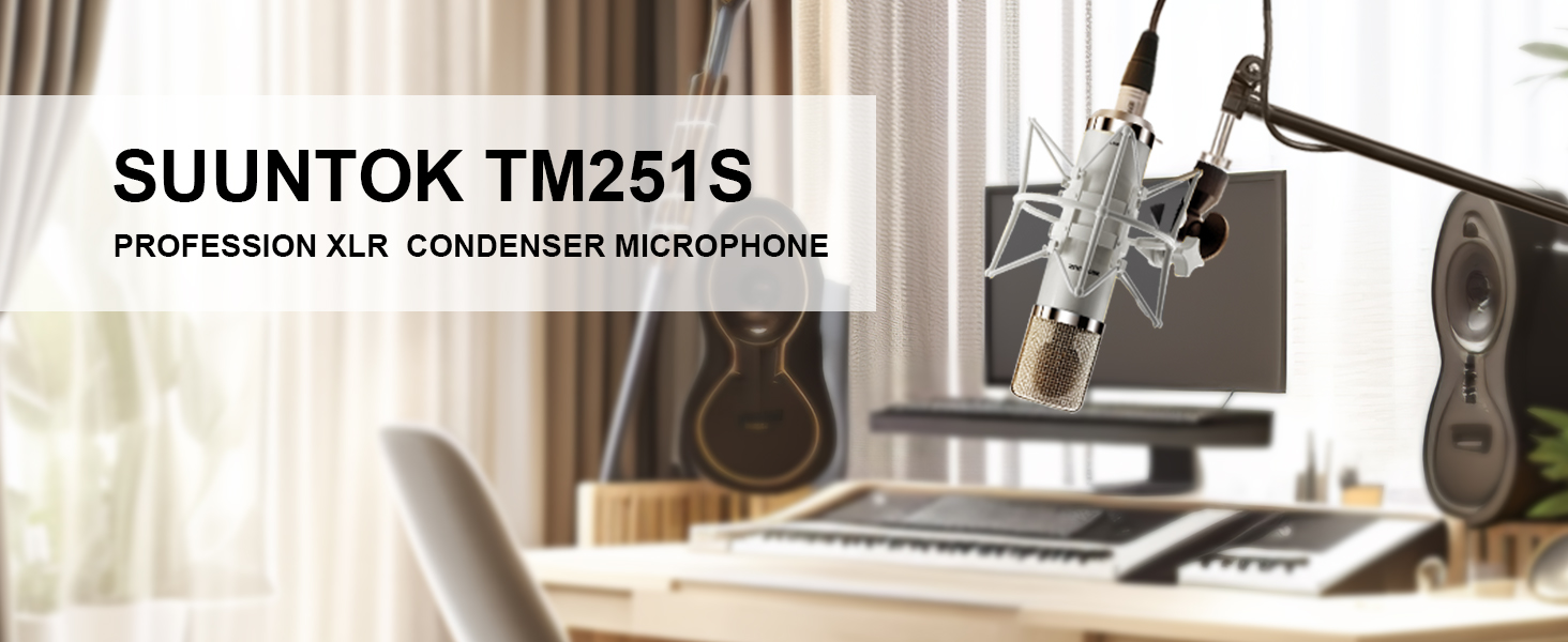 tube condenser microphone