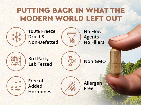 grassfed beef organs supplement iron supplement ancestral supplements beef organs liver complex