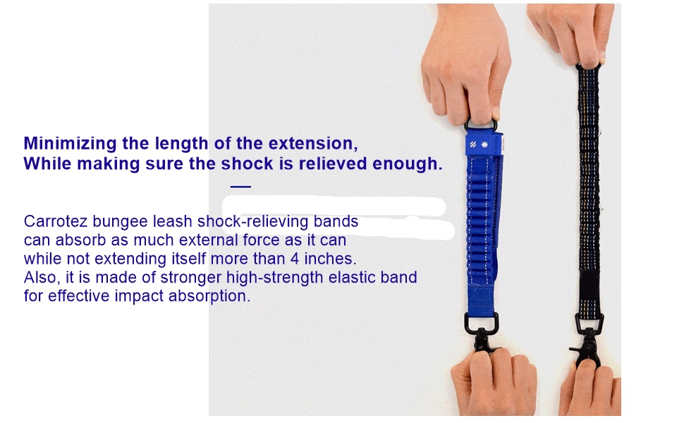 Carrotez Short Bungee Dog Leash Extension for Large Medium