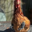 Small manufacture image 7