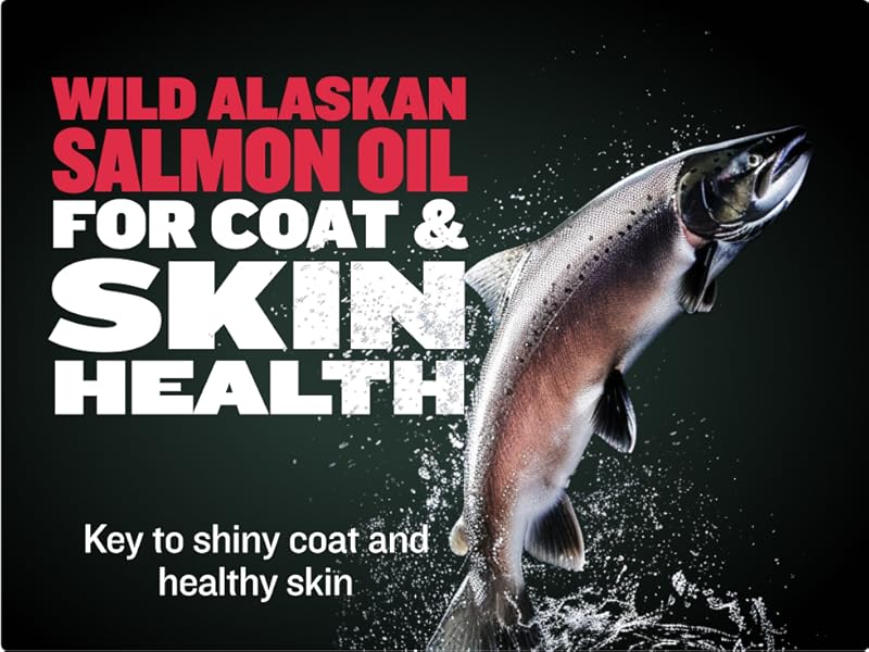 Wild alaskan salmon oil for coat & skin health is they key to shiny coat and healthy skin