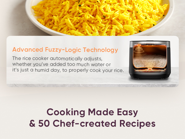 fuzzy logic technology