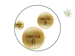 Hampa Ganja Protein Bar 50 G | Mixed berries taste | 10G plant protein | No whey, vegetarian friendly. No pair of sugar, sweet with dates. Snack anytime with adesteine protein. Pack of 3 Ganja to Edistine Protein