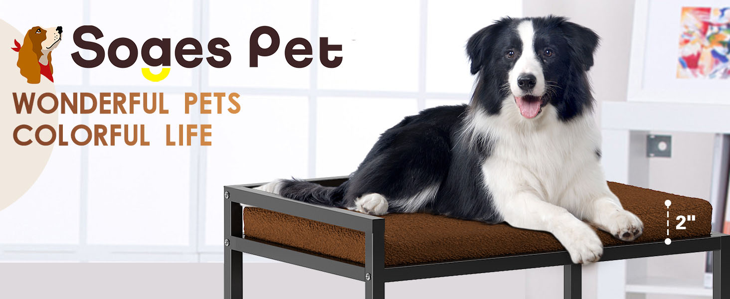 SogesPet Dog Window Perch with Steps, Dog Perch to Look