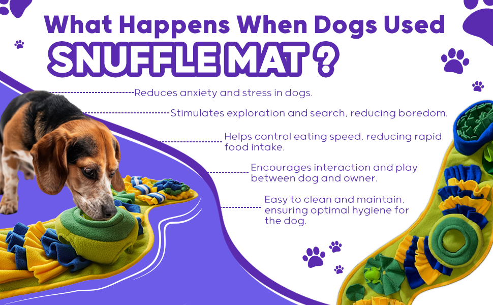 Snuffle Mat for dogs