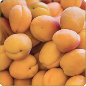 Albicocche fresche viste da vicino, che mostrano una buccia liscia di colore giallo-arancio con lievi sfumature arrossate. Molteplici frutti