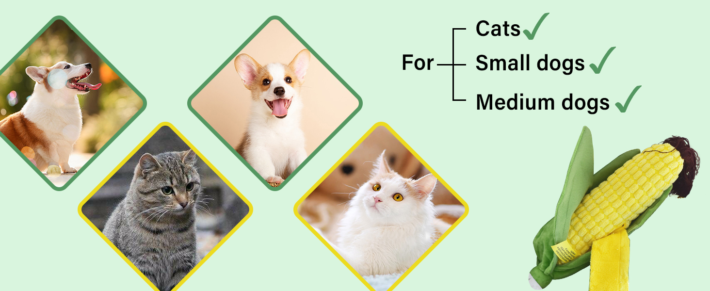 new puppy shopping list