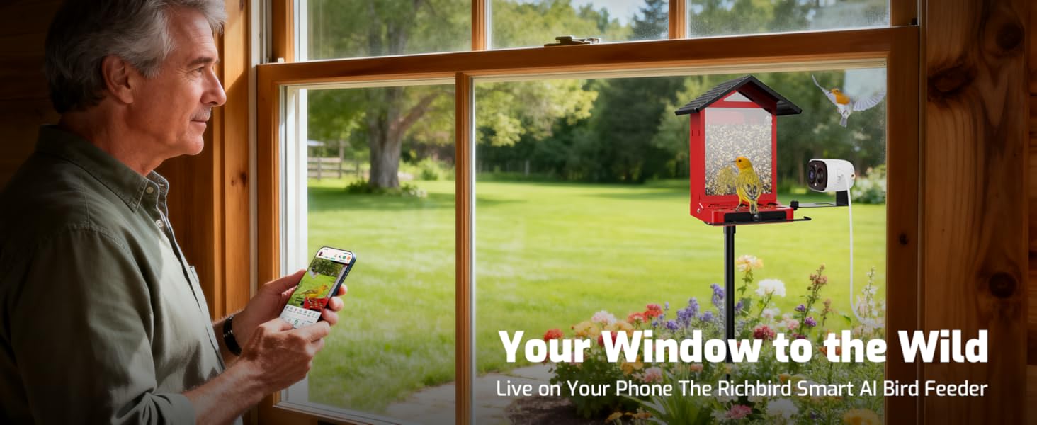 bird feeder with camera
