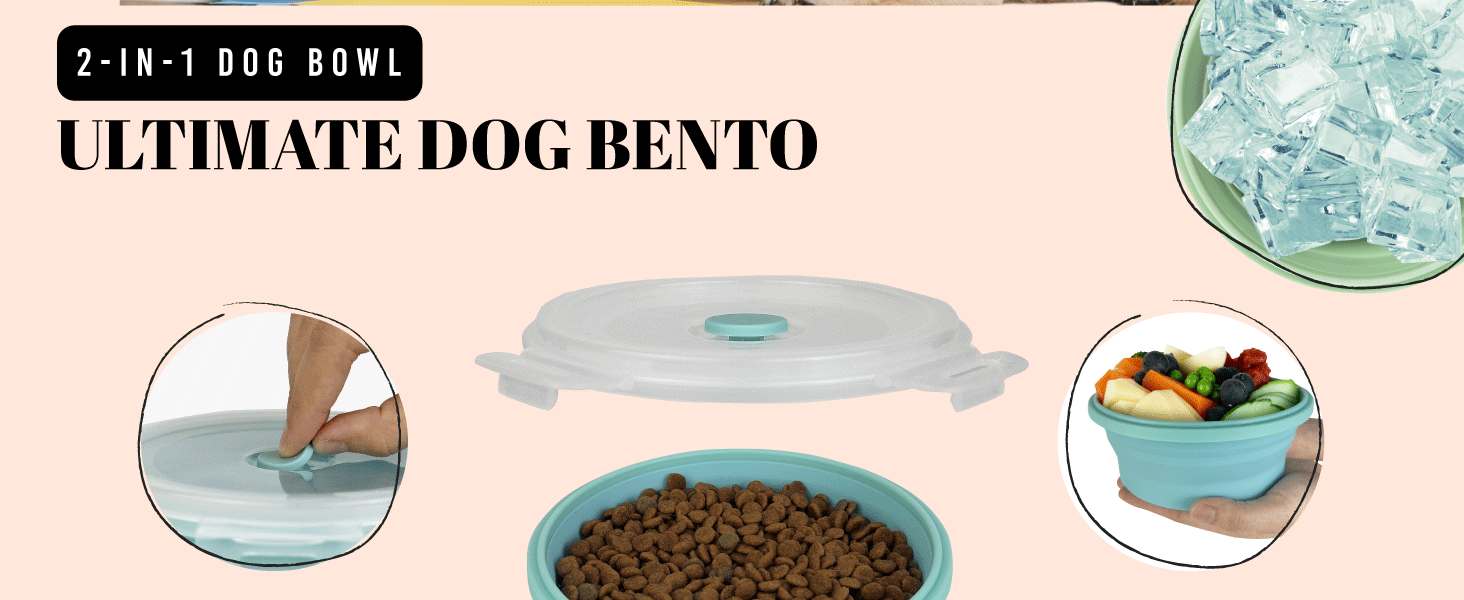 dog bowl lid collapsible dog bowls lid travel pet feeding dish foldable cat puppy silicone feeder