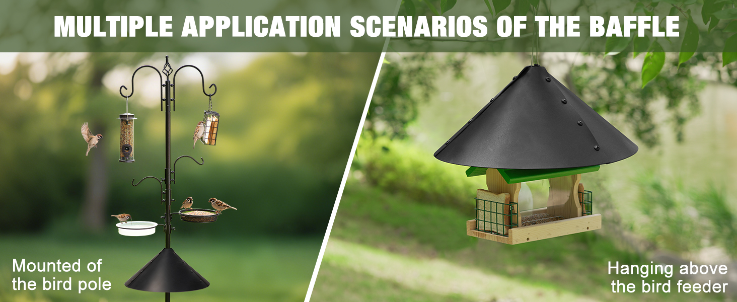 Wild Bird Feeding Kit