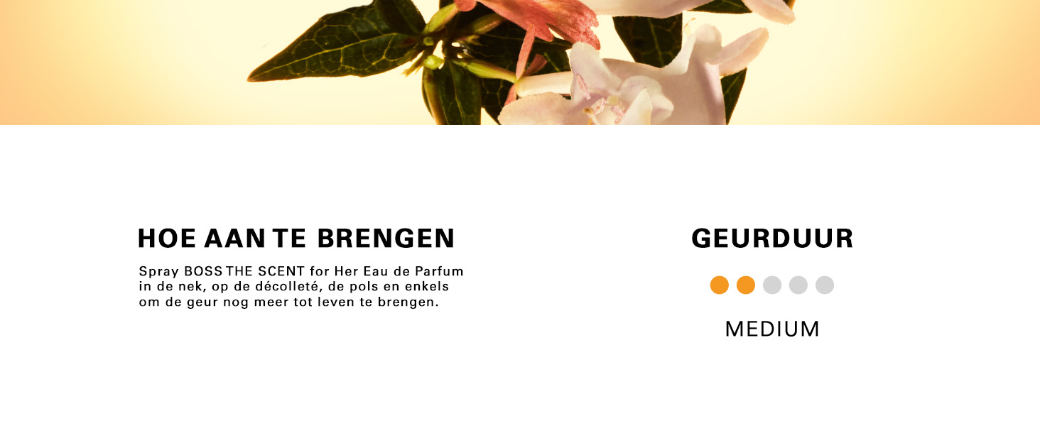 HOE AAN TE BRENGEN