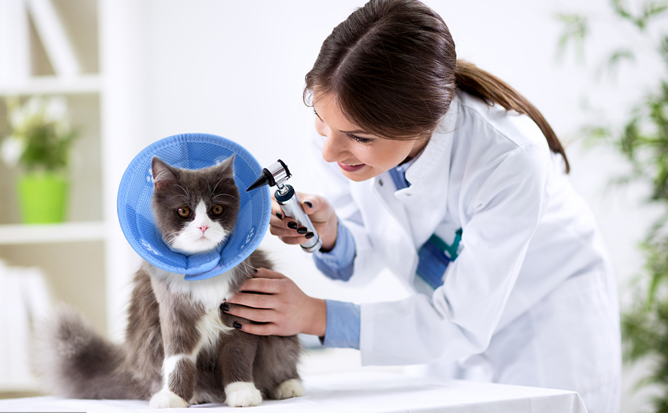 Jaxbo Soft Cat E Collar，Cat Recovery Collar，Adjustable Cat Cone Collar Elizabethan