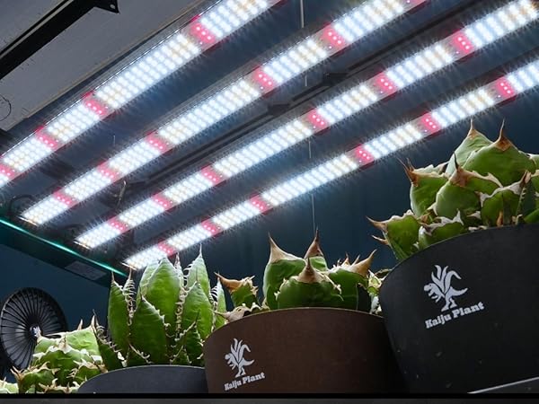 Kaiju Plant 怪獣フレア281 LEDライト 20230911014925.jpg