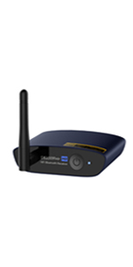 DS200Pro Blue bluetooth receiver