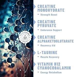 ingredients for pre workout creatine patches