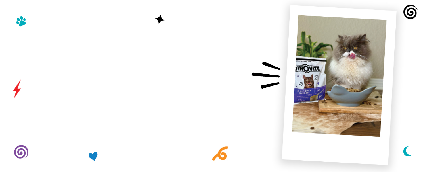 cat supplement, probiotic powder, skin and coat support, digestive health, hairball control, omega-3