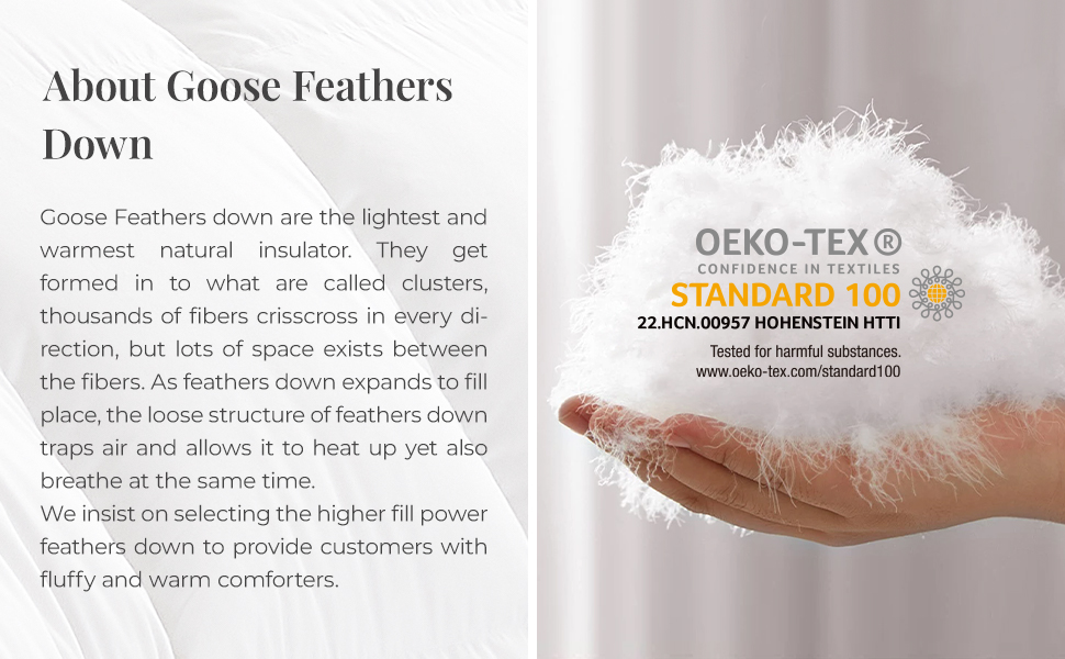 Homyrium Pinch Pleat Goose Feathers Down Comforter Queen