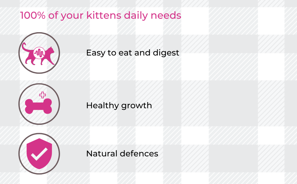 AETN Creations Kitten food Whiskas Mixed pack