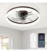 FTZVRD Ceiling Fans with Lights, 20