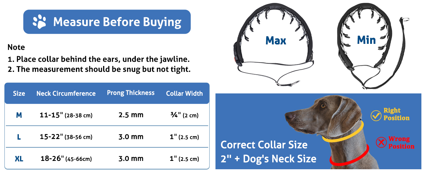 Mayerzon Martingale No Pull Dog Collar for Medium Large