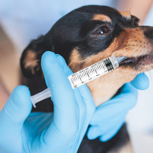 Small manufacture image 5