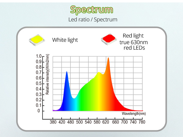 Grow Lights for Indoor Plants