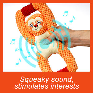 Squeaky toy for dogs