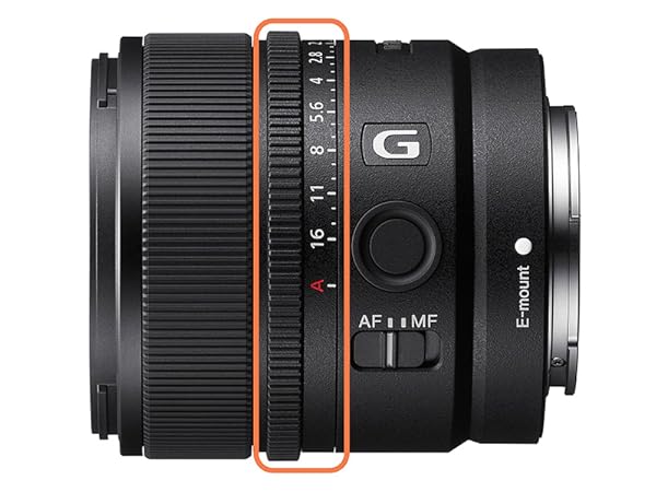 【極美品】保護フィルター付きSony E 15mm F1.4 G レンズ Amazon.com : Sony E 15mm f/1.4 G APS-C Large Aperture Lens Bundle