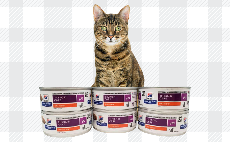 AETN Creations Y/D Thyroid Care Wet Cat Food 6x156g Bundle plus AETN