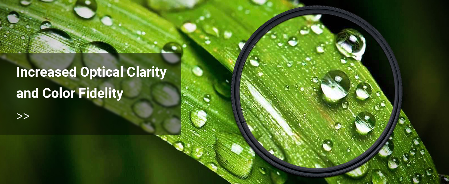 Macro Filter