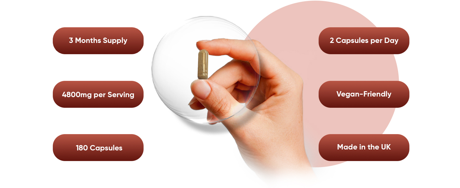 Large manufacture image 3