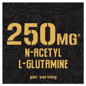 5% Nutrition Core L-Glutamine Supplement L-Alanine Amino Muscle Builder Post Workout Unflavored