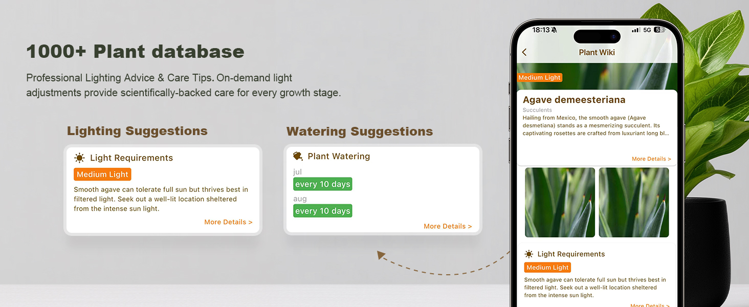 1000+ Plant database