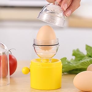 egg shaker